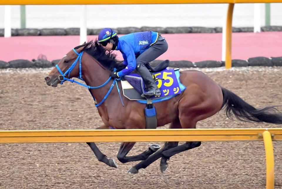 １枠１番となったカツジ