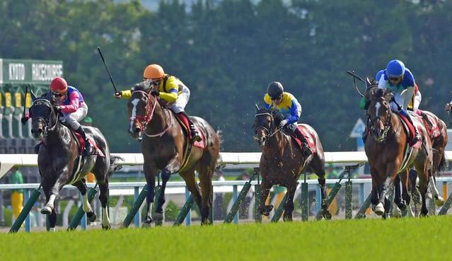 【京都新聞杯】ステイフーリッシュ混戦のダービーへ堂々名乗り　馬体戻し巻き返した