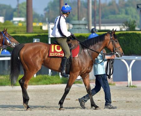 　４連勝の勢いで一気に頂点を目指すミスパンテール