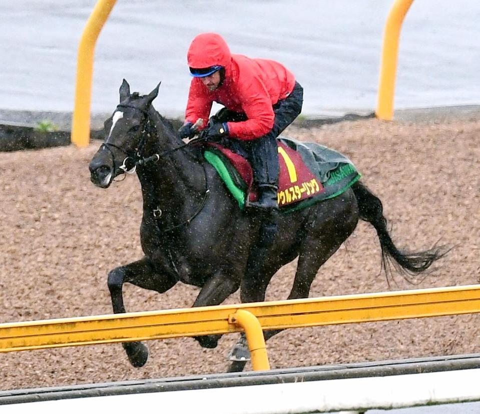 　ひと叩きされて体調アップ。ルメールを背に追い切られたソウルスターリング