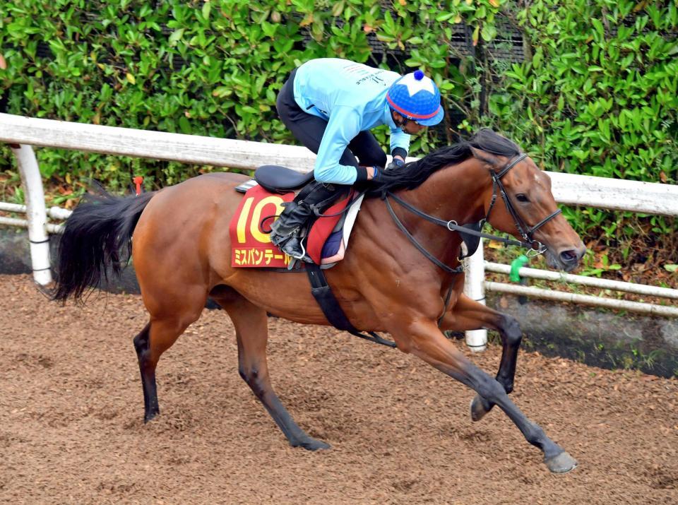 　単走で負荷をかけられたミスパンテール