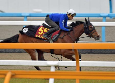 　和田を背に軽快な走りを披露したオールフォーラヴ