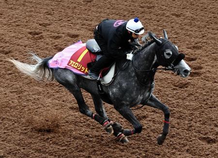 　単走で追い切ったアエロリット