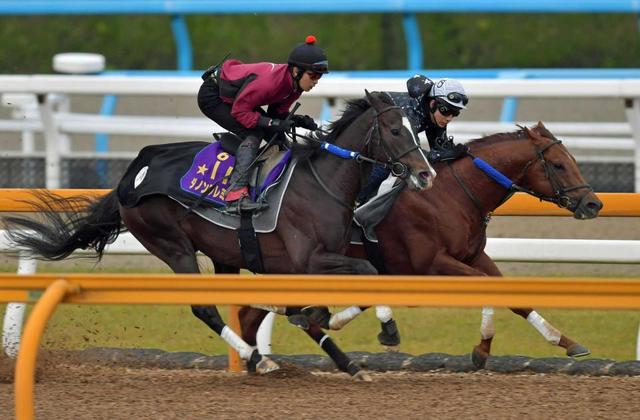 【日本ダービー】ダノンプレミアム ２歳王者の貫禄　前走後初の併せ馬ラスト１１秒６