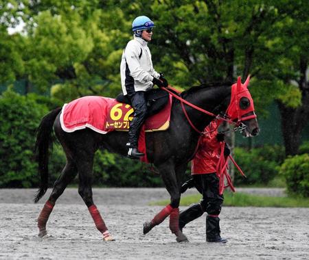 　末脚勝負で戴冠を目指すトーセンブレス