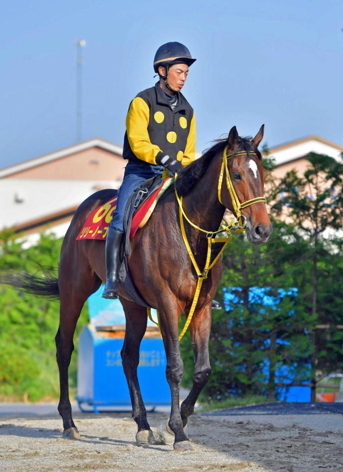 　桜花賞３着からの巻き返しを狙うリリーノーブル