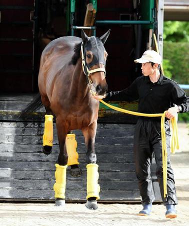 　東京に到着したリリーノーブル