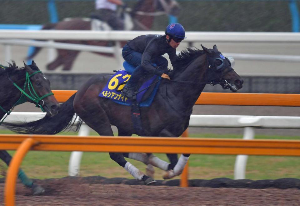 　川田を背に抜群の切れ味を披露したペルシアンナイト