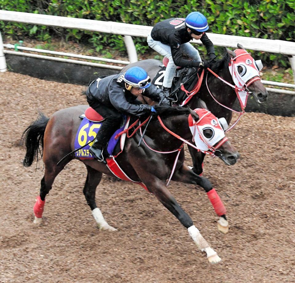 　きっちり先着を決めたリアルスティール（手前）＝撮影・佐藤厚