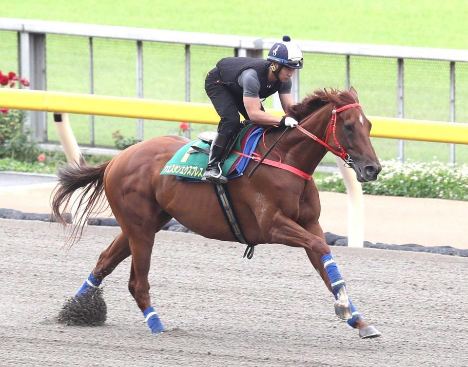 　パワフルな動きを披露したウエスタンエクスプレス＝東京競馬場