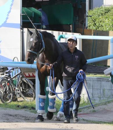 　東京競馬場に到着したペルシアンナイト