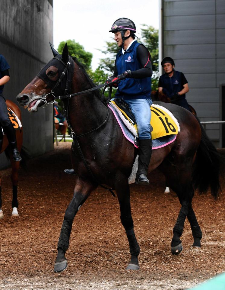 【エプソムC】ダイワキャグニー“秘める素質”で重賞初Vへ 馬体もしっかり/競馬・レース/デイリースポーツ online