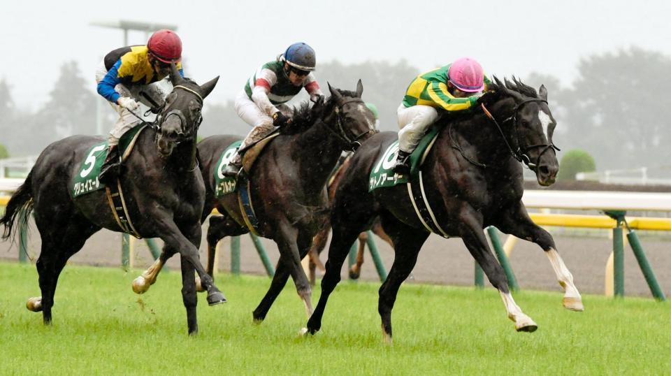 雨のエプソムカップを制したサトノアーサー（右）＝撮影・三好信也