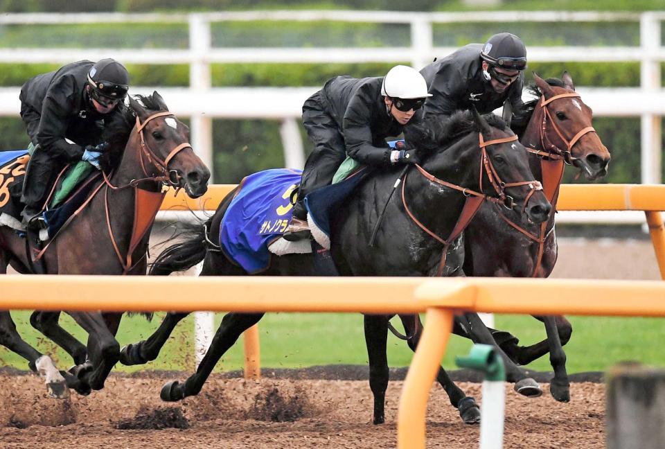 【宝塚記念】サトノクラウン 連覇へ伸びしろ 動き戻ってきた ...