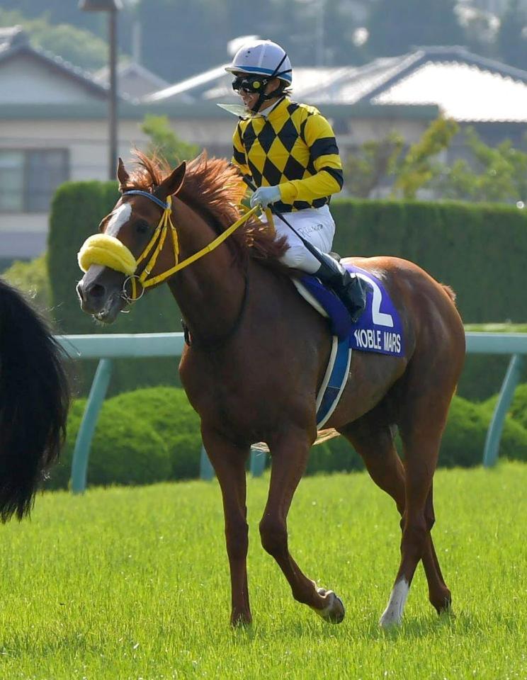 　３着に敗れたノーブルマーズ