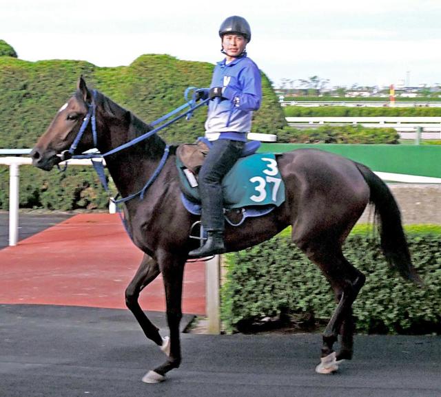 【ＰＯＧ】ヤマカツルビーはスピードが魅力　父は新種牡馬ジャスタウェイ