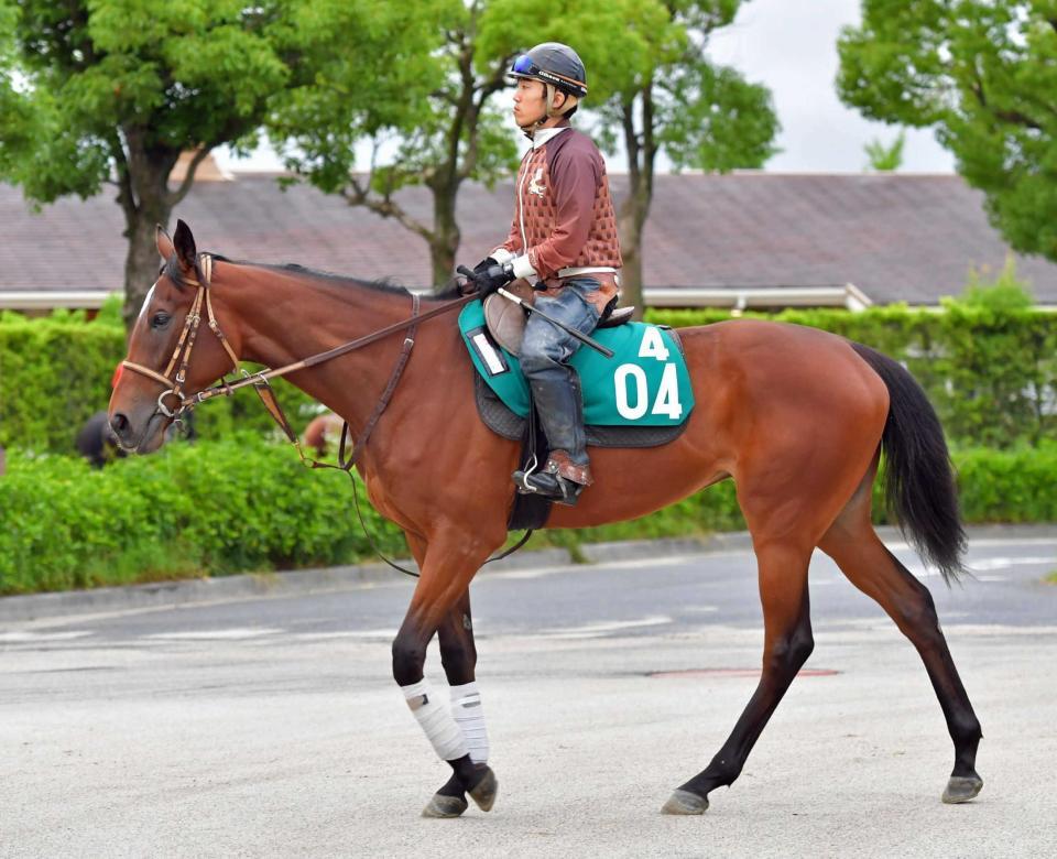 　コンビを組む和田も好感触のコハルビヨリ