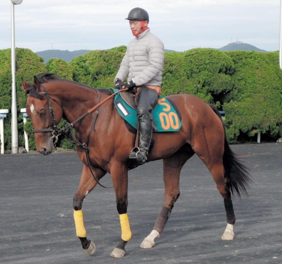 　パワーあふれる動きを披露するパブロフテソーロ