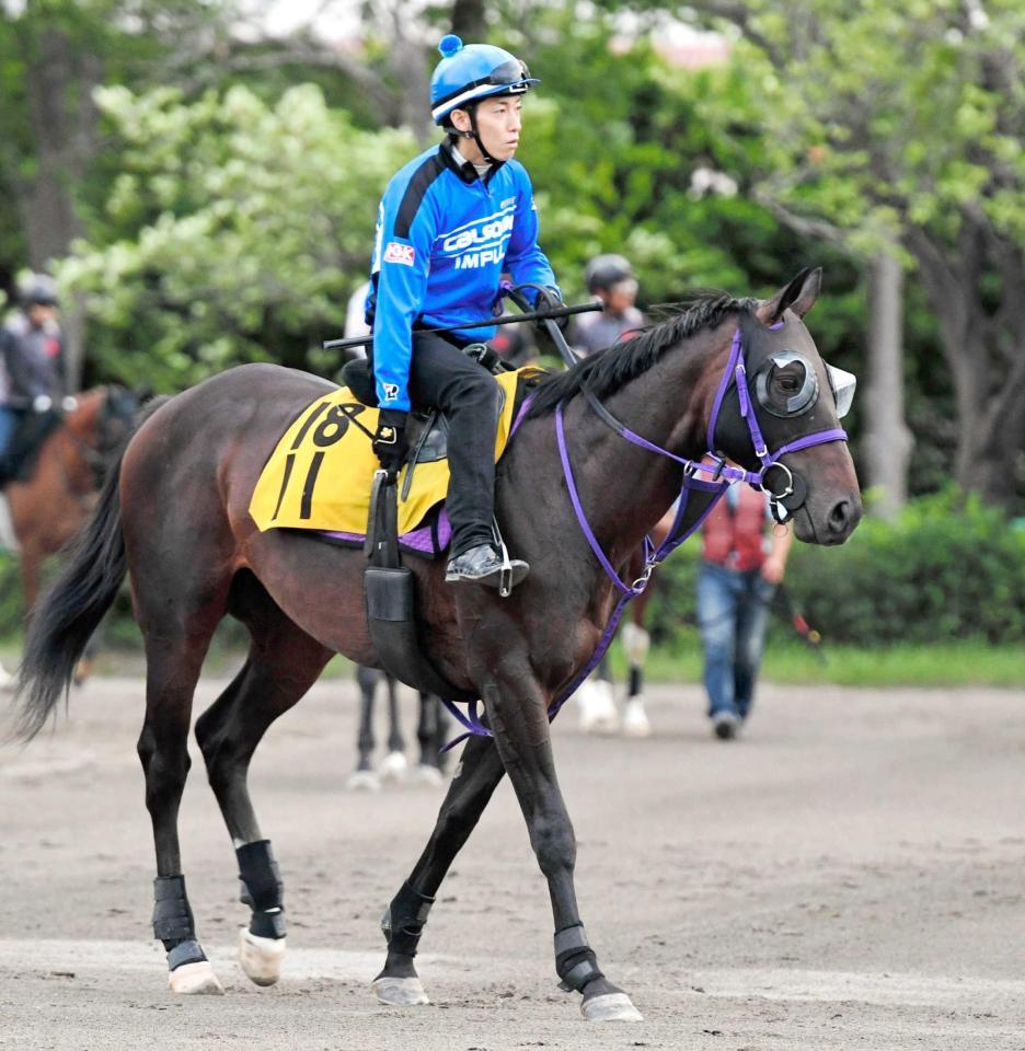 　充実の６歳夏、得意の舞台で初タイトル奪取に燃えるマイネルサージュ