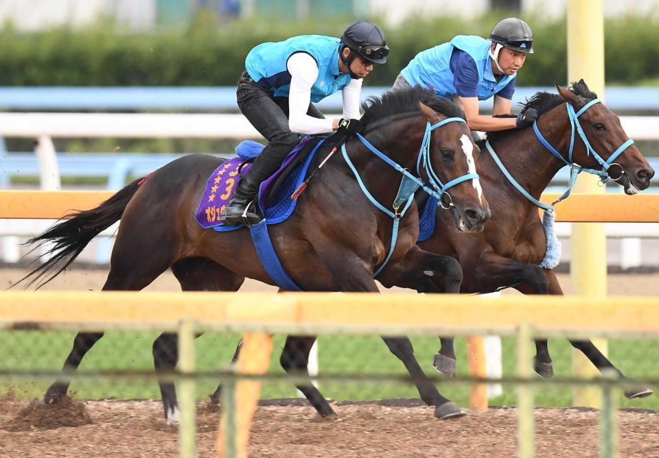 　美浦Ｗで臨戦態勢を整えたオジュウチョウサン（手前）