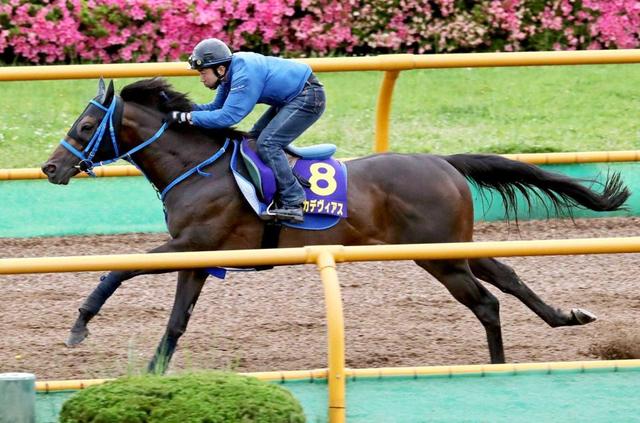 【函館記念】スズカデヴィアス 態勢万全　条件変わりも不安なし