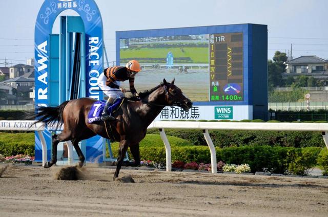 【地方競馬】キタサンミカヅキが初代王者　サブちゃんの御前レースでプラチナＣ制覇