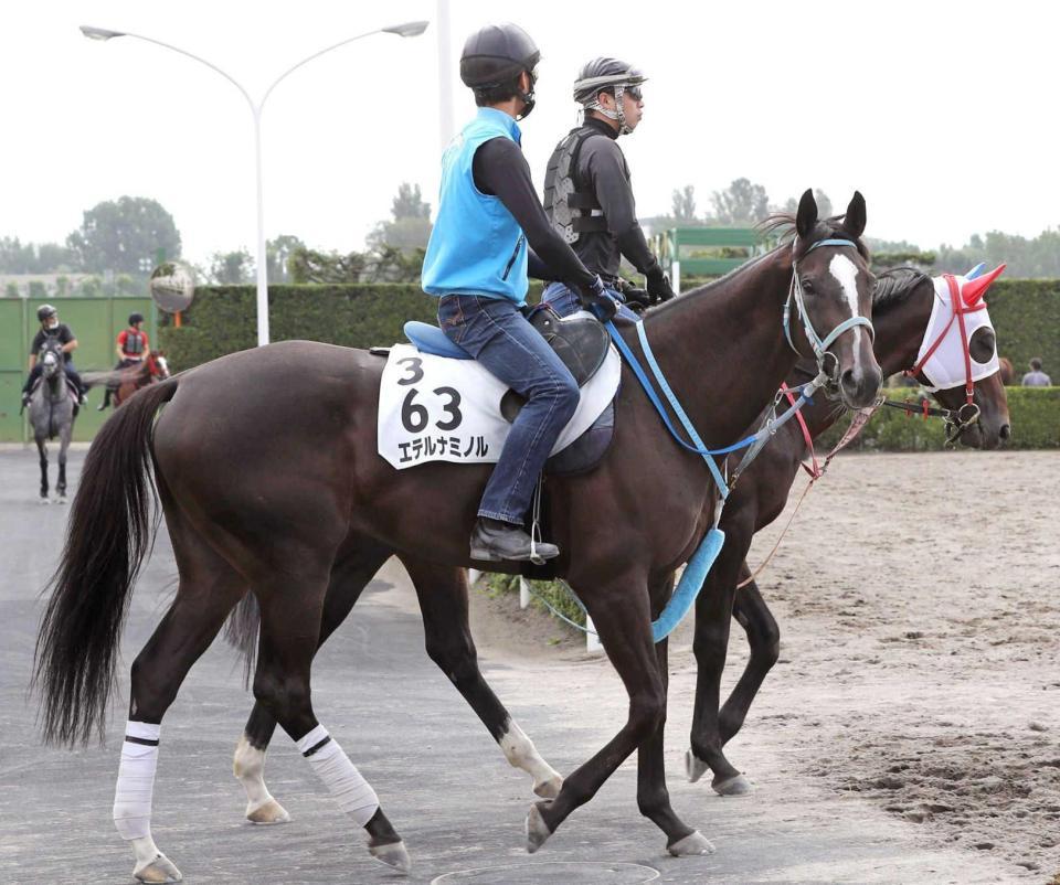 　馬場へ向かうエテルナミノル