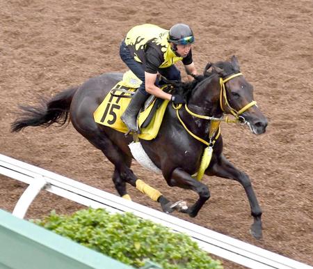 　美浦坂路を小気味いいフットワークで駆け抜けたペイシャフェリシタ