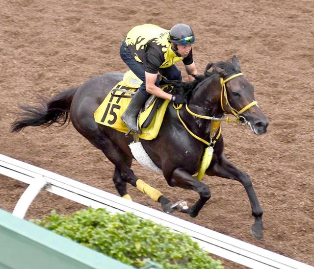 【アイビスＳＤ】ペイシャフェリシタ 軽快に駆け抜けた！初の直線競馬で一変狙う