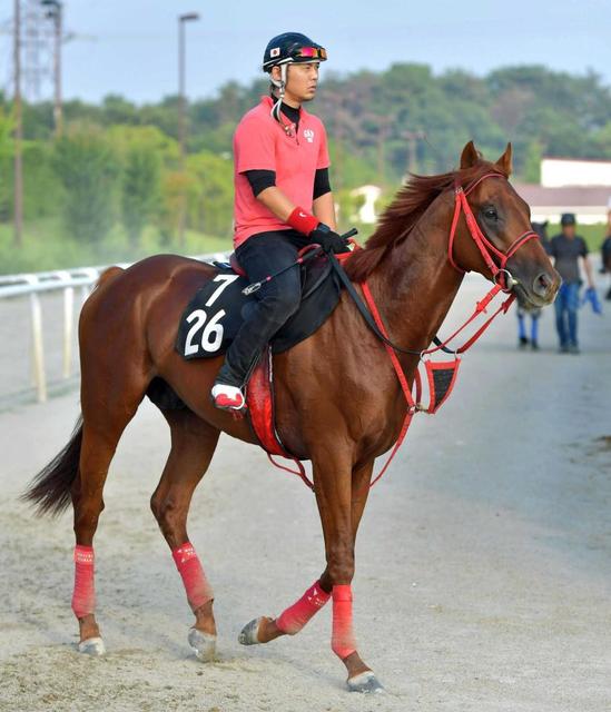 【レパードＳ】ドンフォルティス巻き返す　距離実績＆上積みあり