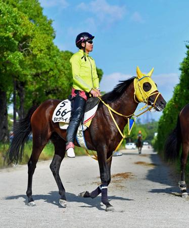 　初勝利の地で重賞２勝目を狙うキョウヘイ