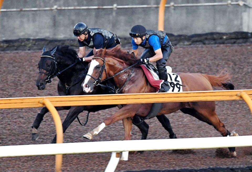 　栗東ＣＷで負荷をかけられたグレートタイム（奥）＝撮影・佐藤厚