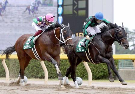 　しぶとく逃げ切ったグリム