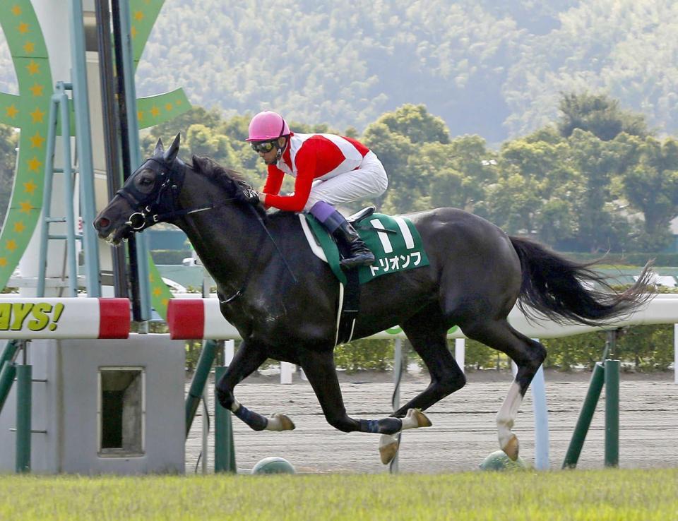 　重賞２勝目を挙げたトリオンフ（撮影・山口楊平）