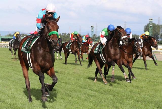 【新潟記念】いざ飛躍の秋へ！３歳馬ブラストワンピースが古馬一蹴