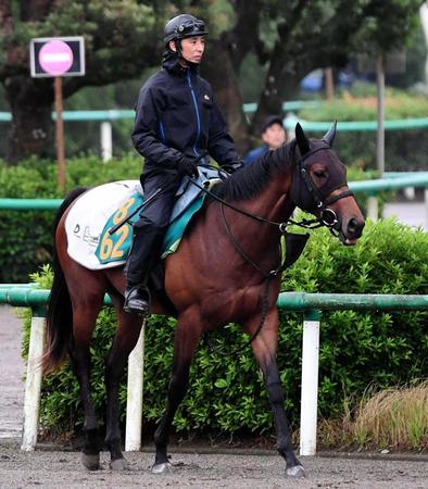 　厩舎ゆかりの血統馬チャーチスクエア