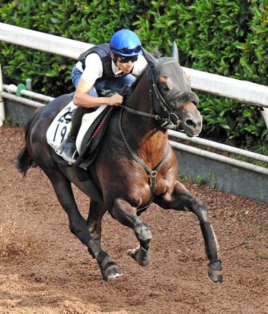 　力強いフットワークを見せたロジクライ