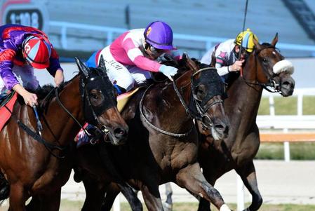 ゴール前で２着馬を押さえ込んだモーニン（中央）