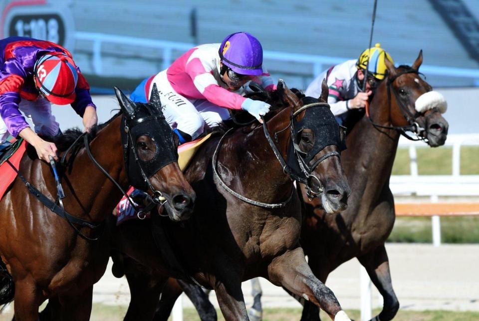 ゴール前で２着馬を押さえ込んだモーニン（中央）