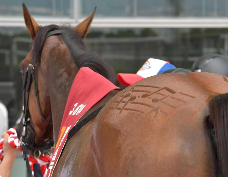 ローズｓ カンタービレ 貫禄ｖ 重賞騎乗機会３連勝 ルメールとお見事ハーモニー 競馬 レース デイリースポーツ Online