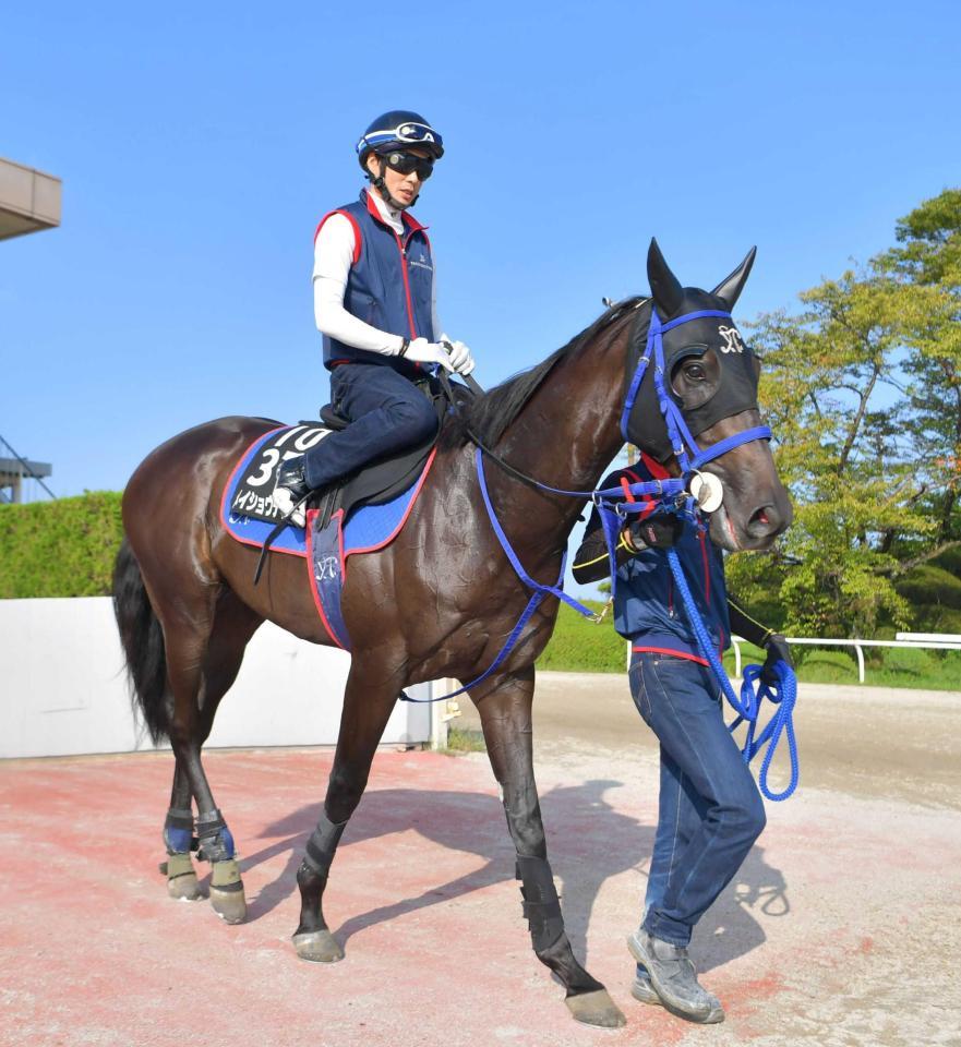 　春の実績馬撃破へ気合が入るメイショウテッコン（撮影・石湯恒介）