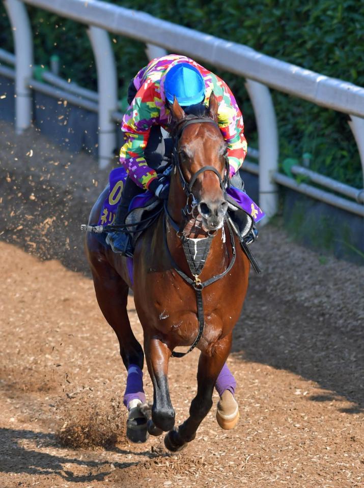 藤岡康を背に栗東坂路で追い切るワグネリアン＝栗東トレセン（撮影・石湯恒介）