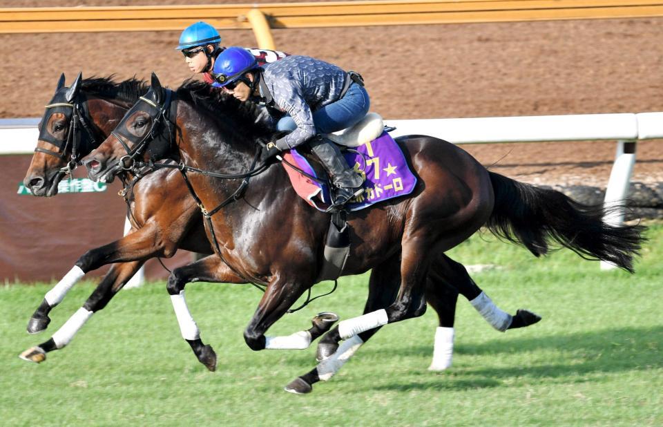 　ダービーの悔しさを晴らす。栗東芝で追い切る皐月賞馬エポカドーロ（手前）