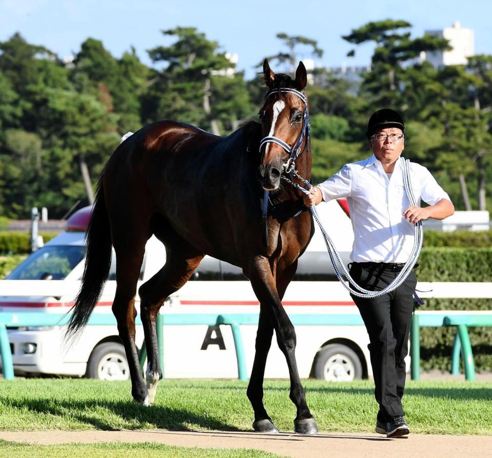 　紫苑Ｓで２着に敗れ引きあげるマウレア＝９月８日