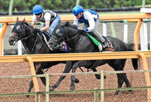 【神戸新聞杯】ゴーフォザサミット 反応良好　昨年のダービー馬に食らいついた