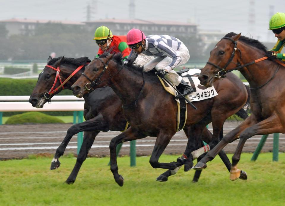 　新馬戦を快勝したゴータイミング（左から２頭目）