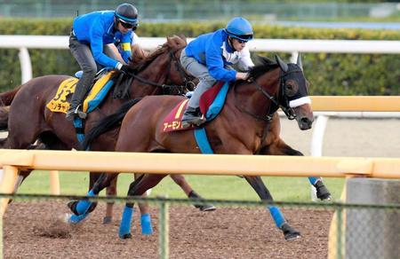 　きっちり先着を決めたアーモンドアイ（手前）＝撮影・三好信也