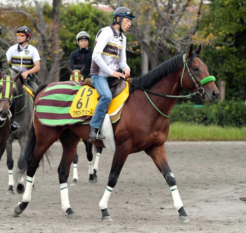 菊花賞 ブラストワンピース状態よし 帰厩後初時計 馬なり１ｆ１３秒１ 競馬 レース デイリースポーツ Online