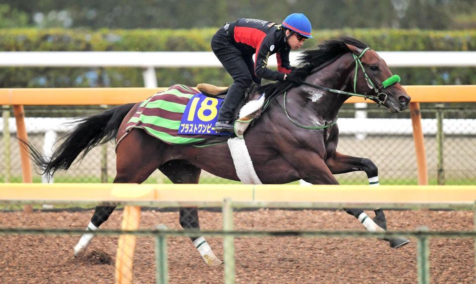 僚馬を圧倒したブラストワンピース（撮影・三好信也）