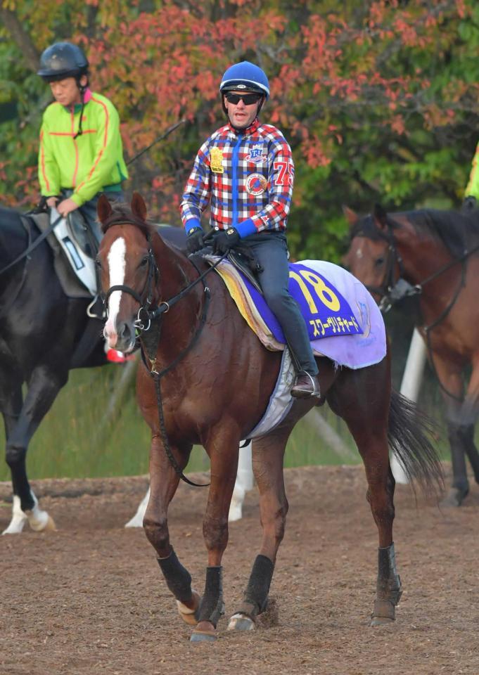 　栗東ＣＷで上々の動きを披露したスワーヴリチャード（撮影・石湯恒介）